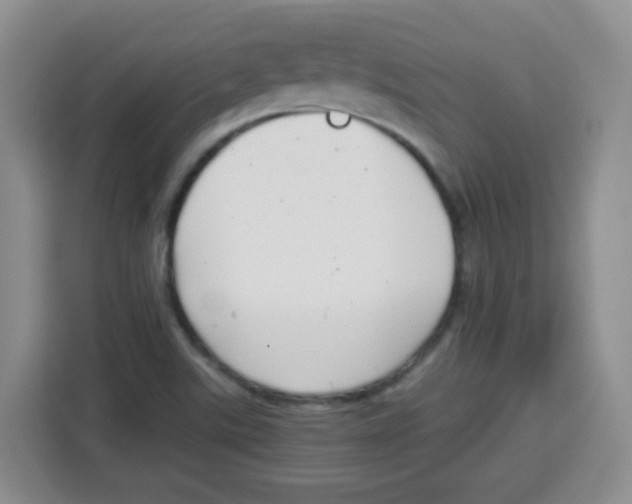 X0000115141507200911241455