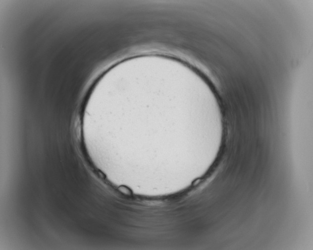 X0000115141509200911241455