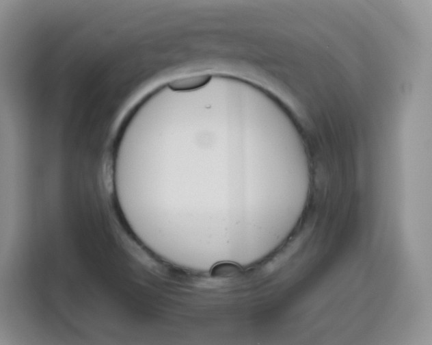 X0000115141510200911241455