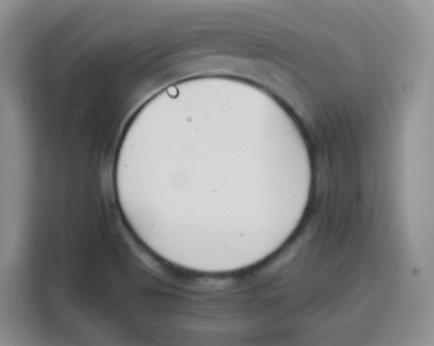 X0000115141513200911241455