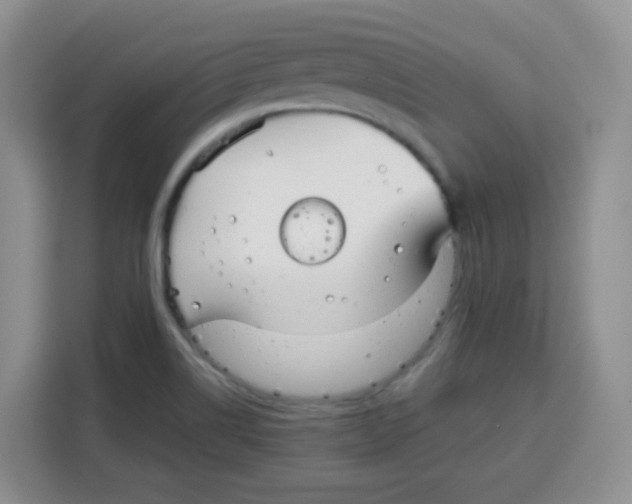X0000115141514200911241455