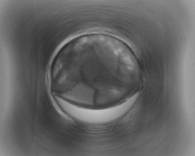 X0000115141515200911241455