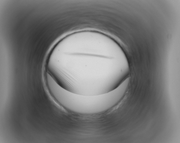 X0000115141518200911241455