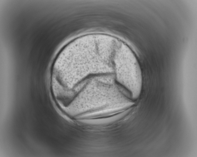 X0000115141519200911241455