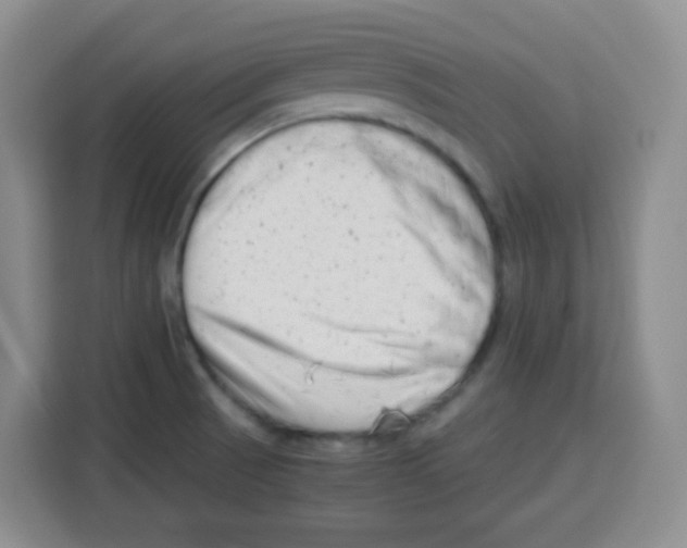 X0000115141521200911241455