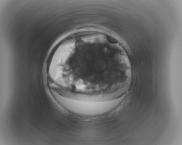 X0000115141522200911241455