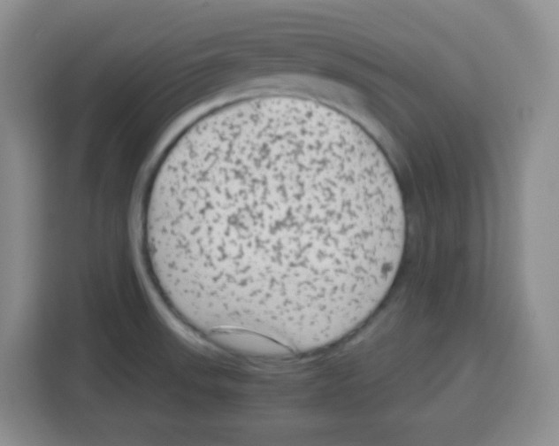 X0000115141523200911241455