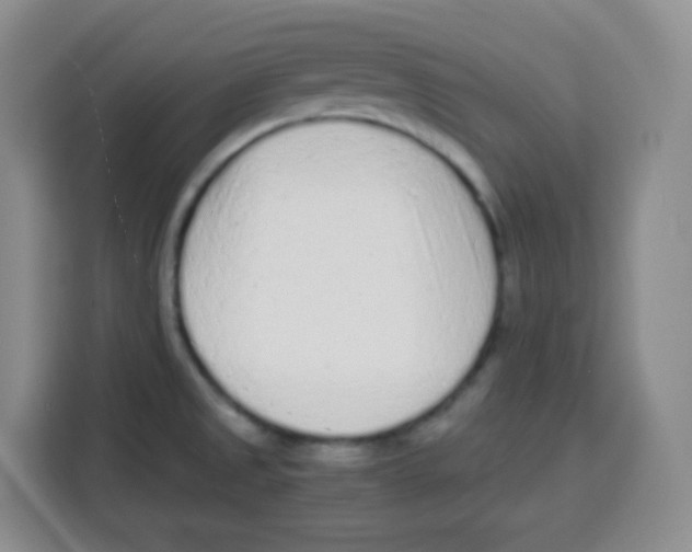 X0000115141525200911241455