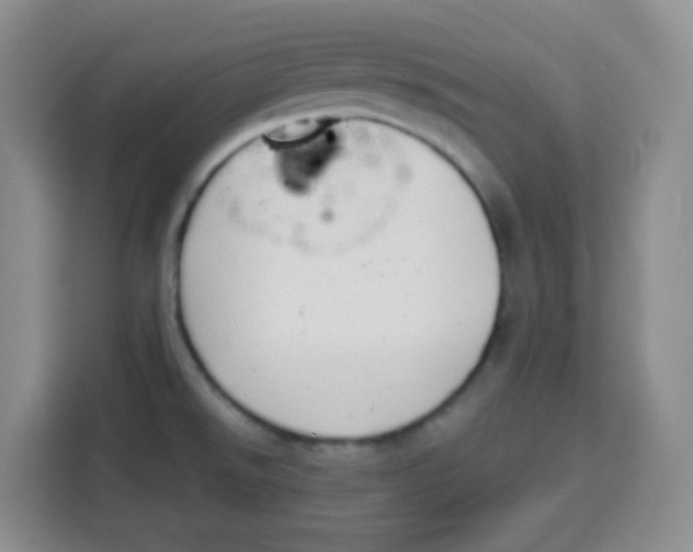 X0000115141526200911241455