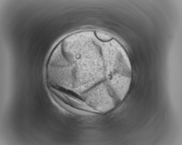 X0000115141527200911241455