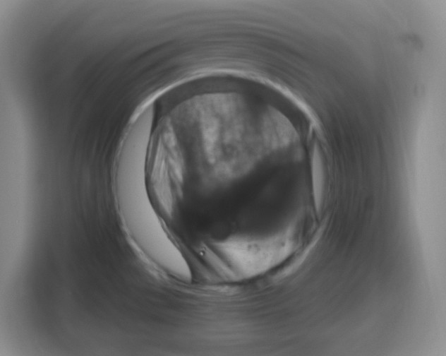 X0000115141529200911241455
