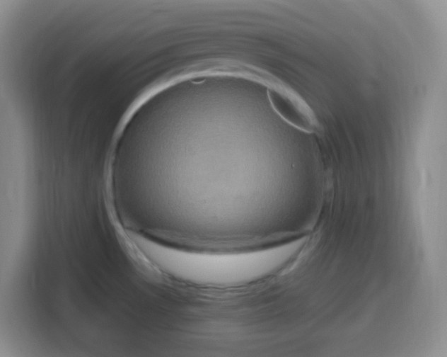 X0000115141530200911241455