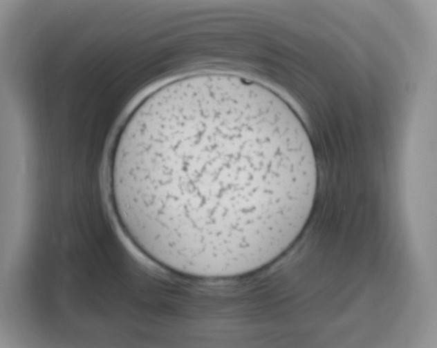 X0000115141531200911241455