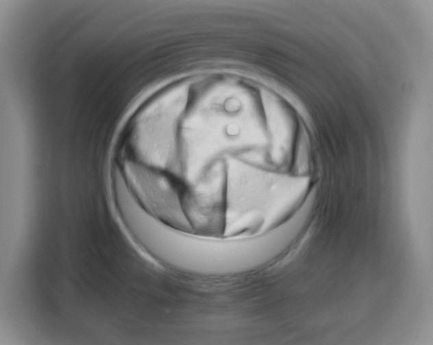 X0000115141533200911241455