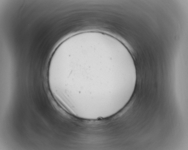 X0000115141534200911241456