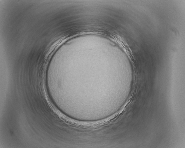 X0000115140001200912081335