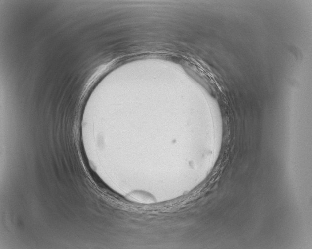 X0000115140003200912081335