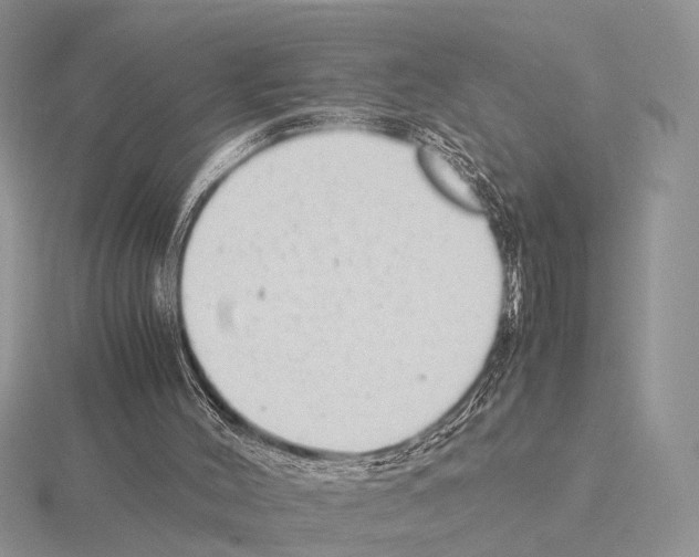 X0000115140004200912081335