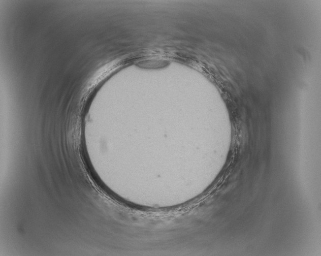 X0000115140005200912081335