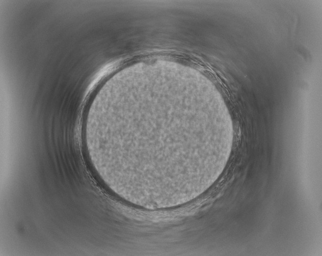 X0000115140006200912081335