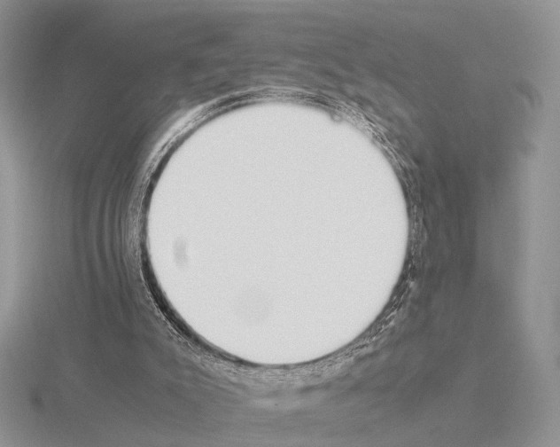 X0000115140007200912081335