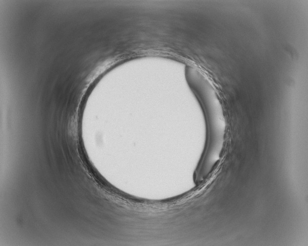 X0000115140008200912081335