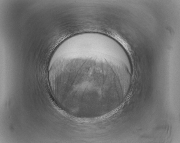 X0000115140009200912081335