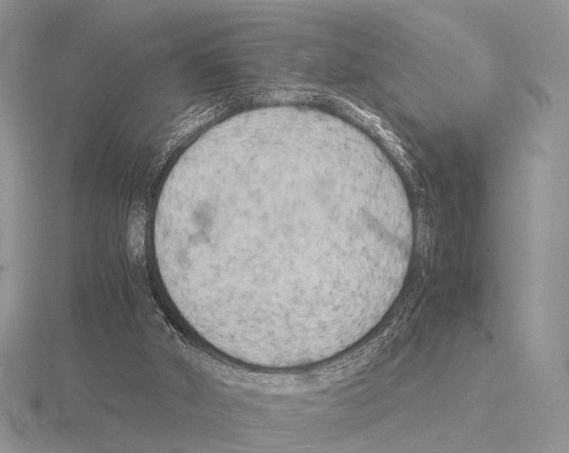 X0000115140010200912081335