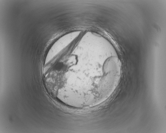 X0000115140011200912081335