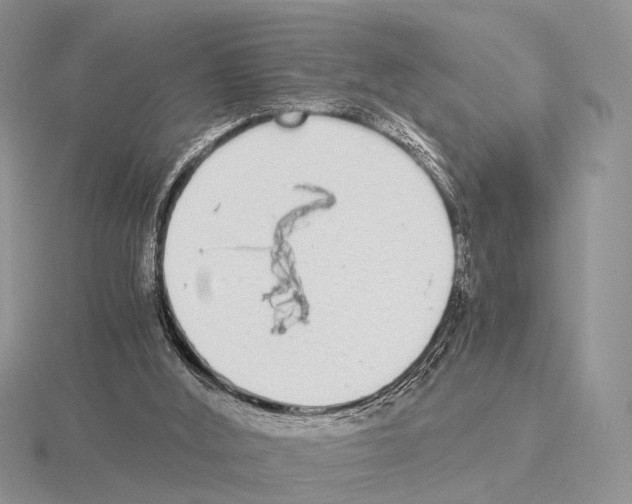 X0000115140012200912081335