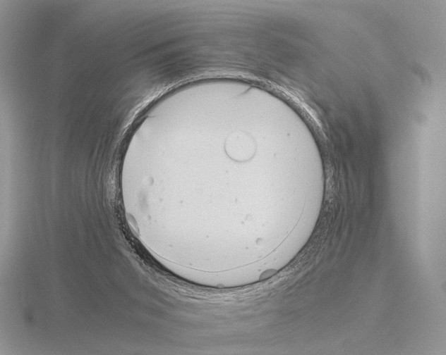 X0000115140015200912081335