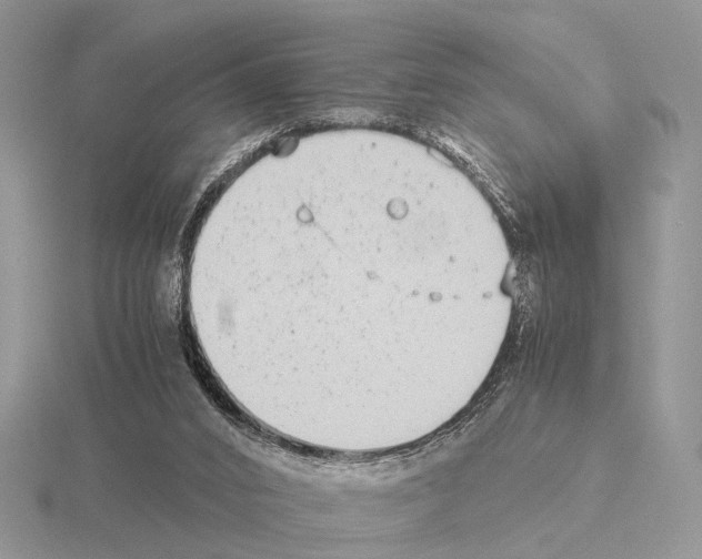 X0000115140016200912081335