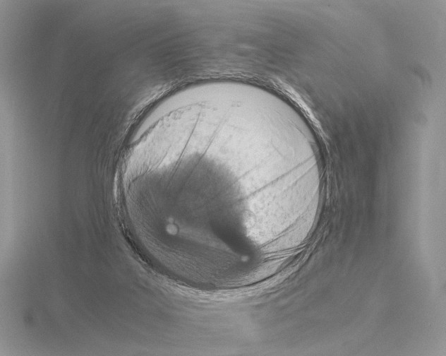 X0000115140019200912081335