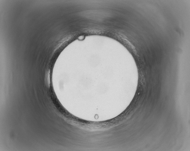 X0000115140020200912081335