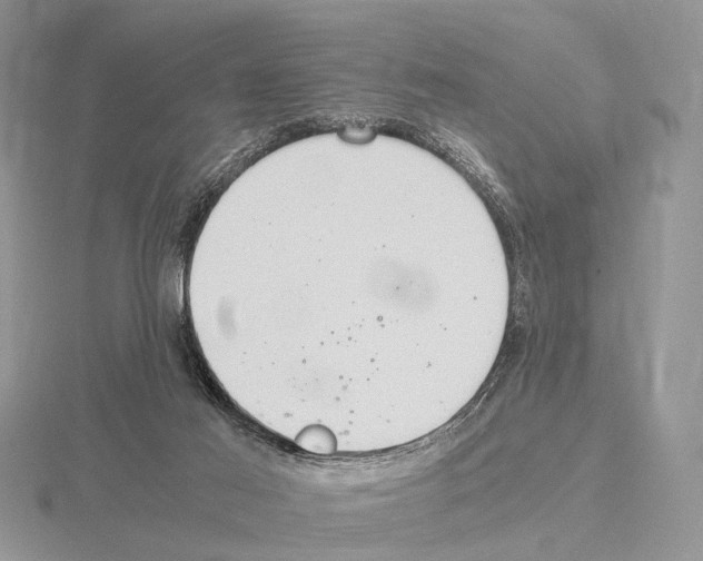 X0000115140021200912081335