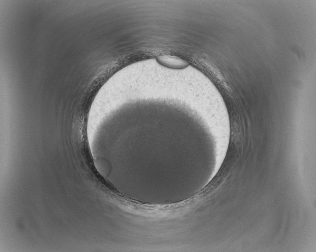 X0000115140023200912081335