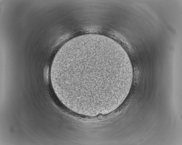 X0000115140024200912081335