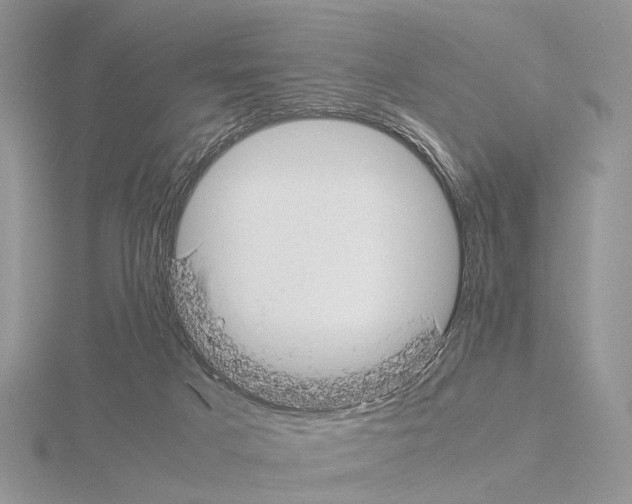 X0000115140025200912081335