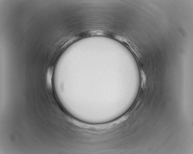 X0000115140026200912081335