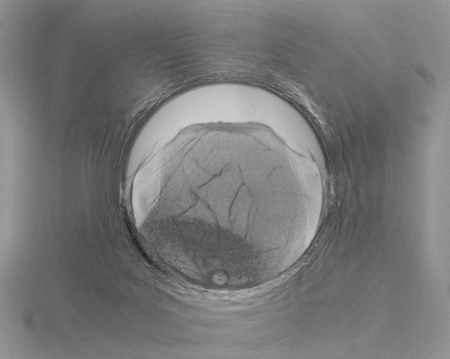 X0000115140027200912081335