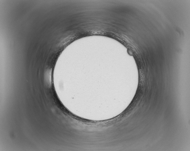 X0000115140028200912081335