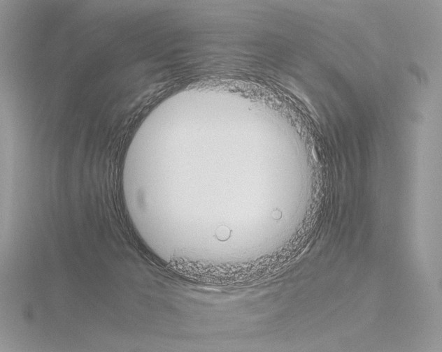 X0000115140029200912081335