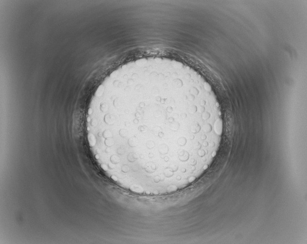 X0000115140030200912081335