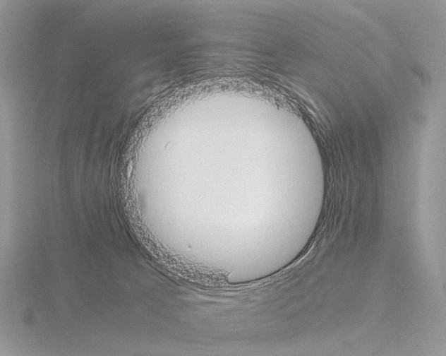 X0000115140033200912081335