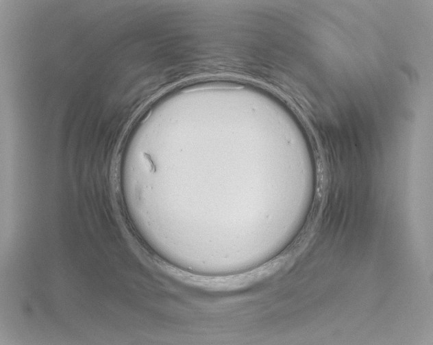 X0000115140034200912081335