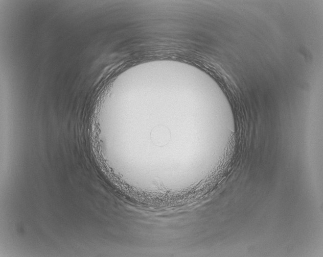 X0000115140035200912081335