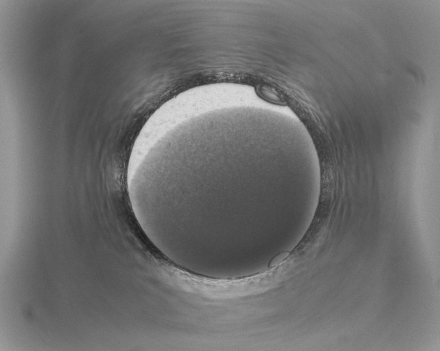 X0000115140039200912081335