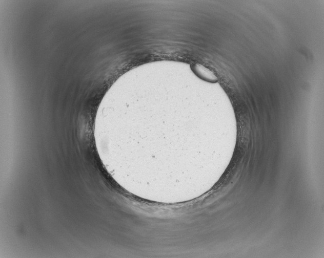 X0000115140040200912081335