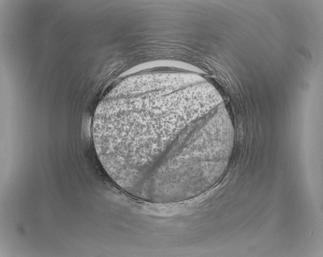 X0000115140041200912081335