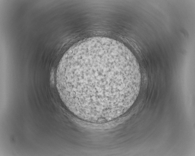 X0000115140042200912081335